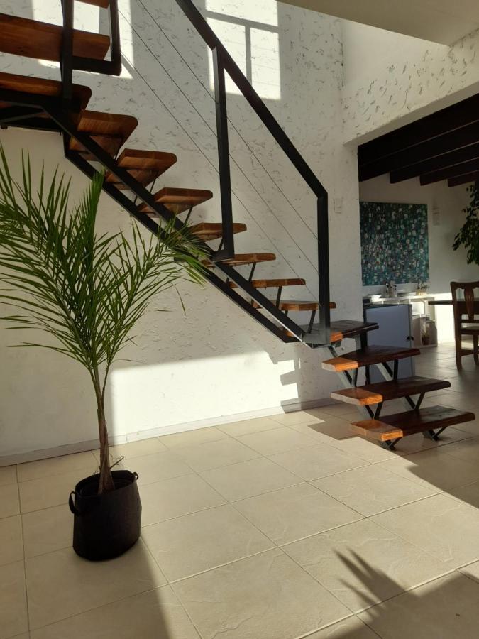 Casa Luminosa Con Parque Y Vista Espectacular Leilighet El Calafate Eksteriør bilde